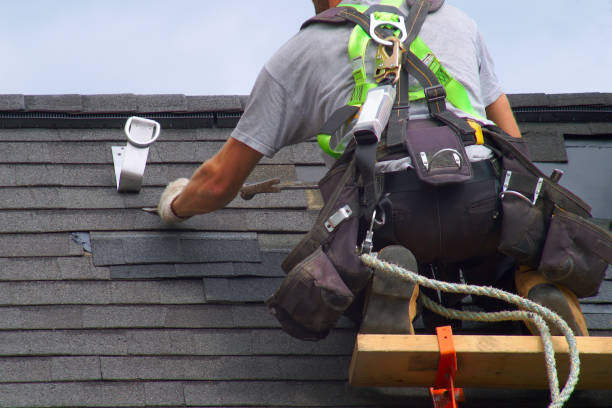 Roof Gutter Cleaning in Caledonia, MN