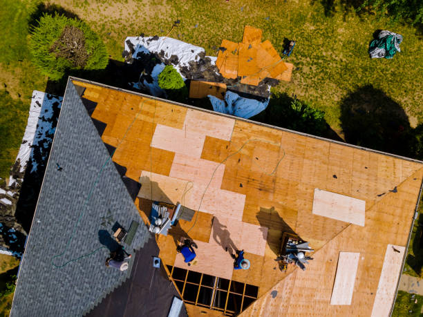 Best Roof Repair Services  in Caledonia, MN