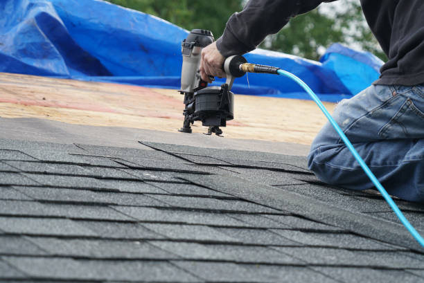 Best Storm Damage Roof Repair  in Caledonia, MN